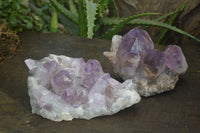 Natural Jacaranda Amethyst Clusters x 2 From Zambia - Toprock Gemstones and Minerals 