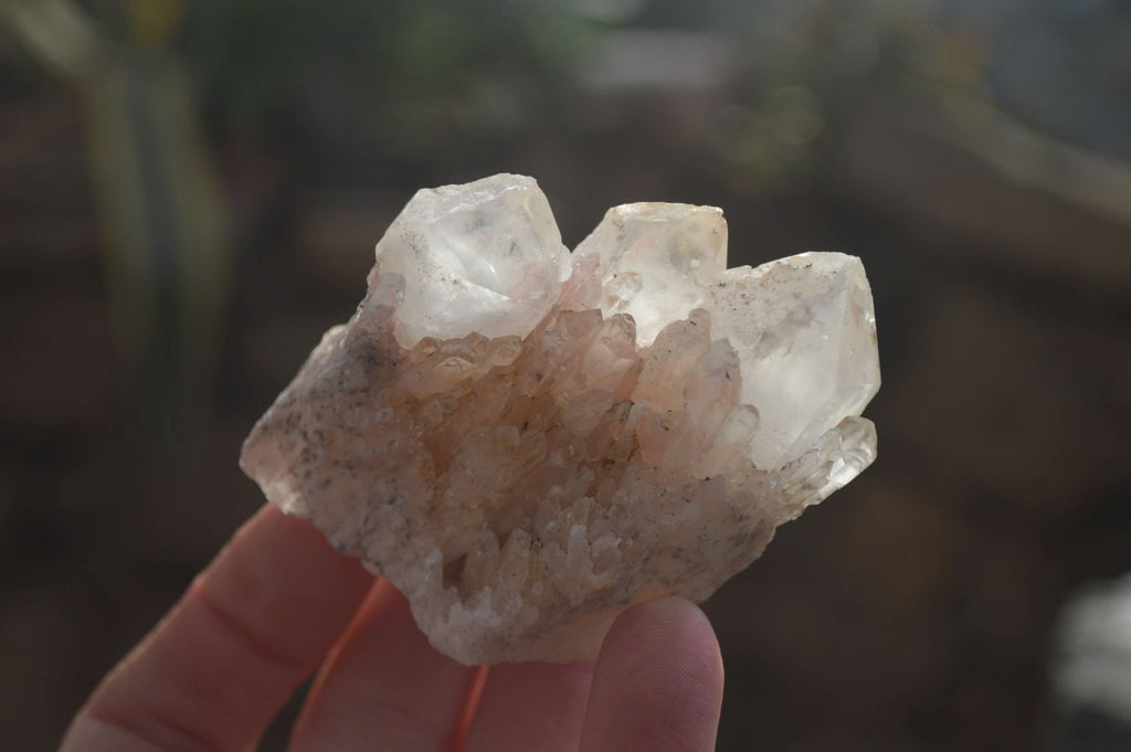 Natural Pink Candle Quartz Clusters  x 12 From Madagascar - Toprock Gemstones and Minerals 