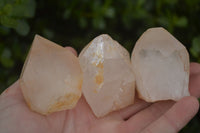Natural Large Single Quartz Crystal Specimens  x 13 From Madagascar - Toprock Gemstones and Minerals 