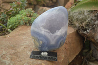 Polished Blue Lace Agate Geode Standing Free Form x 1 From Nsanje, Malawi