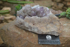 Natural Jacaranda Amethyst Cluster x 1 From Mumbwa, Zambia - TopRock
