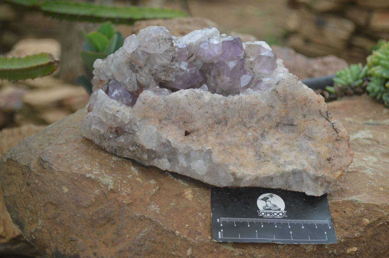 Natural Jacaranda Amethyst Cluster x 1 From Mumbwa, Zambia - TopRock