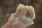 Natural Mixed Spirit Quartz Clusters x 12 From Boekenhouthoek, South Africa - Toprock Gemstones and Minerals 