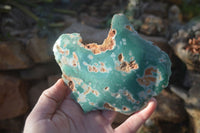 Polished On One Side Emerald Mtorolite Plates x 3 From Mutorashanga, Zimbabwe - Toprock Gemstones and Minerals 