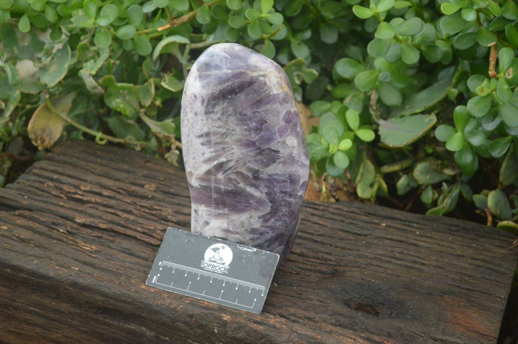 Polished Dream Amethyst Standing Free Form  x 1 From Madagascar - Toprock Gemstones and Minerals 