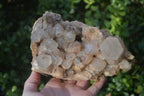 Natural Cascading White Phantom Smokey Quartz Cluster x 1 From Luena, Congo - Toprock Gemstones and Minerals 