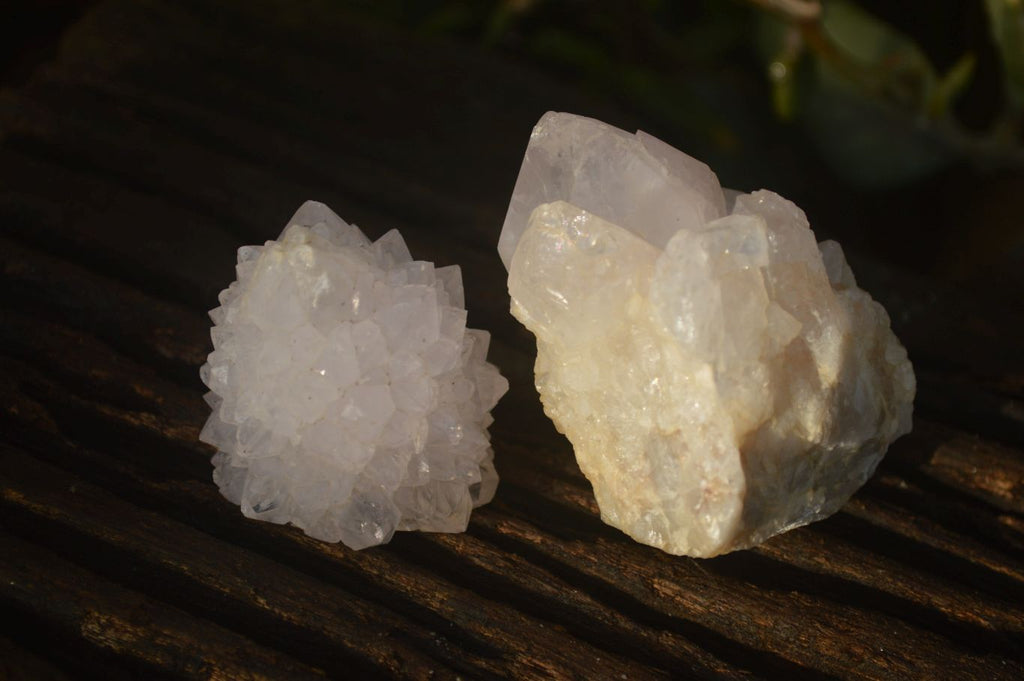 Natural White Cactus Flower Spirit Quartz Specimens x 12 From Boekenhouthoek, South Africa - Toprock Gemstones and Minerals 