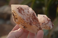 Natural Pink & Yellow Pineapple Candle Quartz Crystals x 6 From Madagascar - Toprock Gemstones and Minerals 