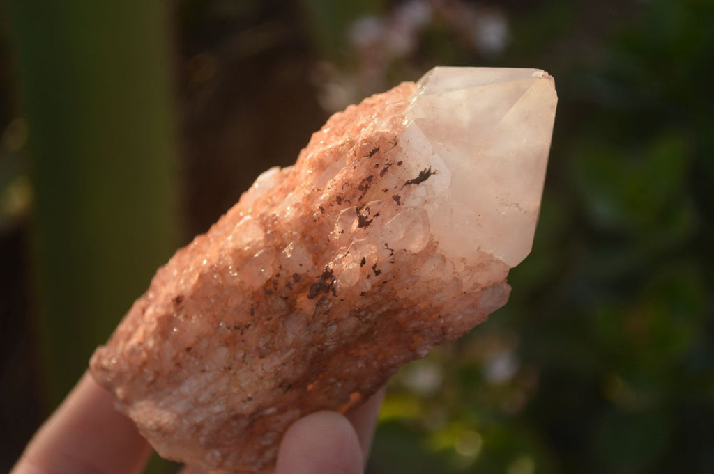 Natural Pink & Yellow Pineapple Candle Quartz Crystals x 6 From Madagascar - Toprock Gemstones and Minerals 