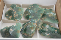 Polished On One Side Emerald Mtorolite Plates x 6 From Mutorashanga, Zimbabwe - Toprock Gemstones and Minerals 