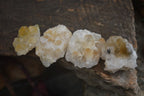 Natural Mini Golden Limonite / Lemonite Quartz Specimens  x 70 From Zambia - Toprock Gemstones and Minerals 