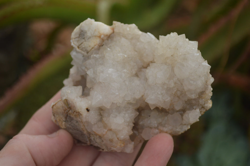 Natural Drusy Coated Mountain Quartz Specimens  x 18 From Alberts Mountain, Lesotho - TopRock