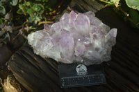 Natural Jacaranda Amethyst Clusters x 2 From Zambia - Toprock Gemstones and Minerals 