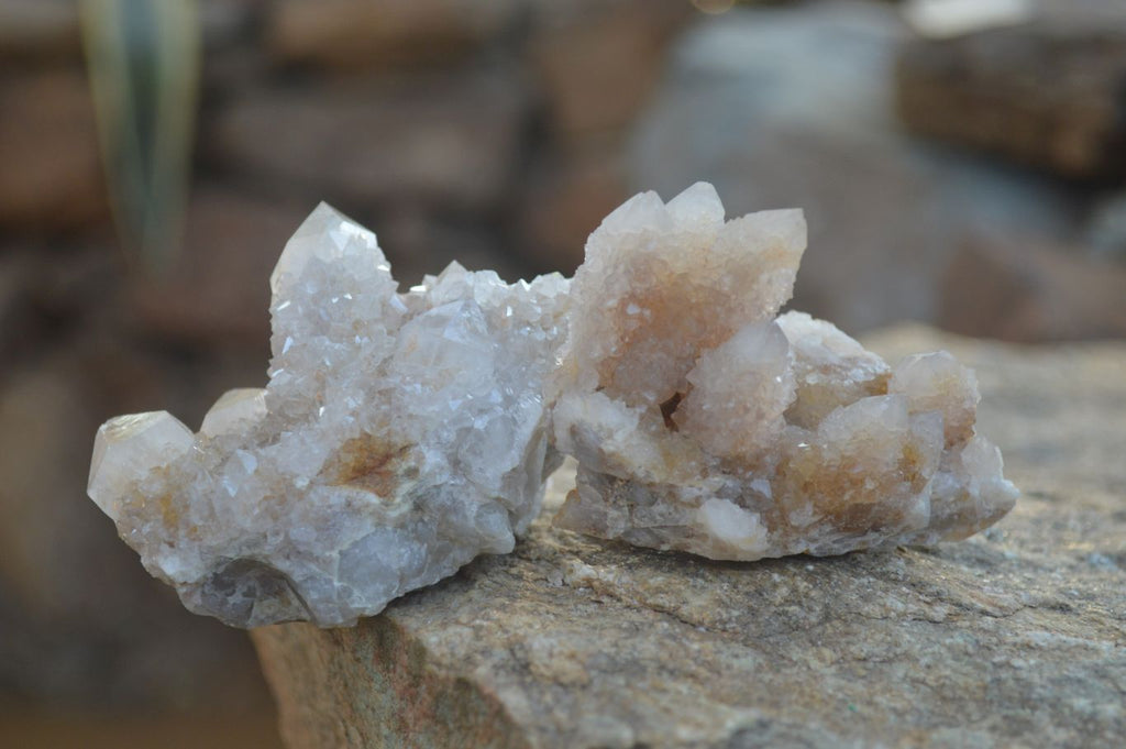 Natural Mixed Spirit Quartz Clusters x 12 From Boekenhouthoek, South Africa - Toprock Gemstones and Minerals 