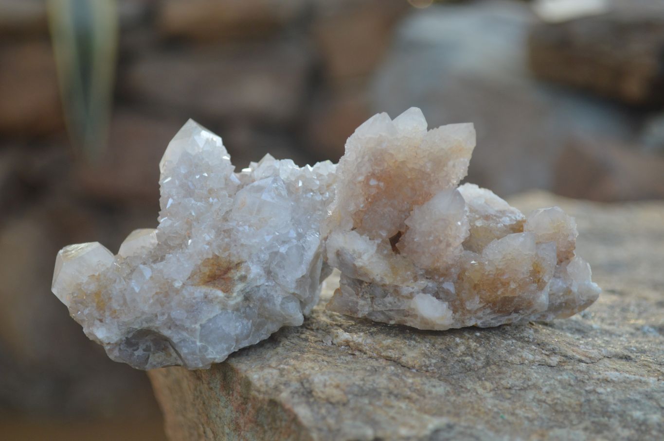 Natural Mixed Spirit Quartz Clusters x 12 From Boekenhouthoek, South Africa - Toprock Gemstones and Minerals 