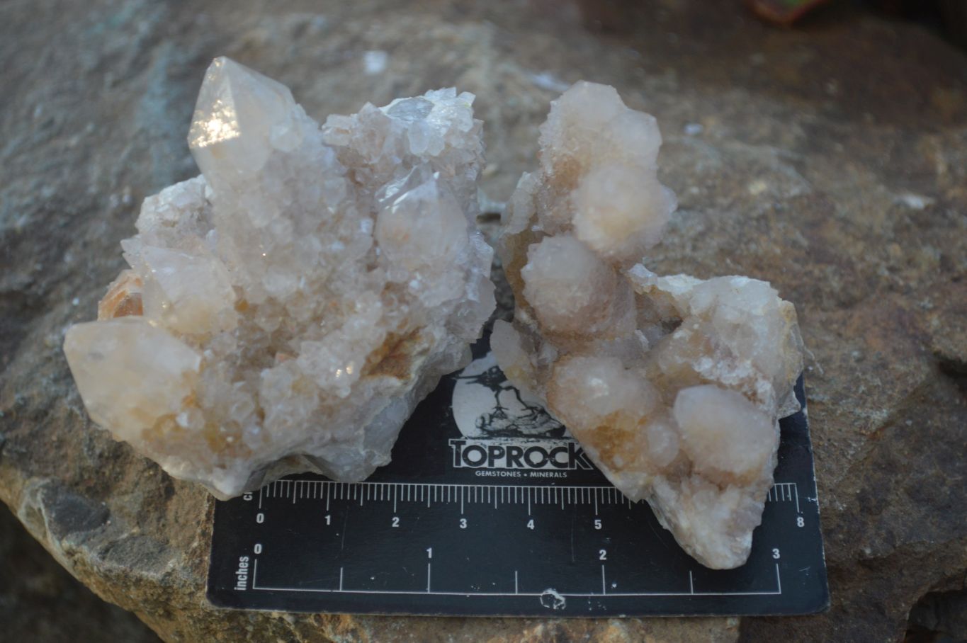 Natural Mixed Spirit Quartz Clusters x 12 From Boekenhouthoek, South Africa - Toprock Gemstones and Minerals 