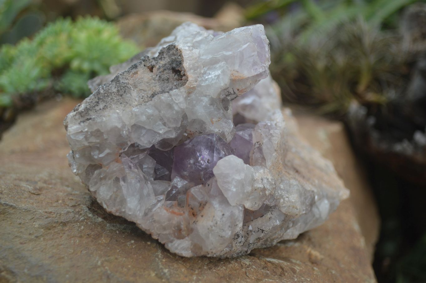 Natural Jacaranda Amethyst Cluster x 1 From Mumbwa, Zambia - TopRock