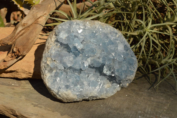 Natural Lovely Crystalline Blue Celestite Specimen  x 1 From Sakoany, Madagascar - TopRock