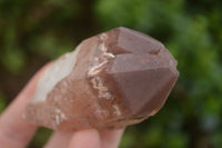 Natural Red Hematoid Quartz Specimens x 12 From Karoi, Zimbabwe - TopRock
