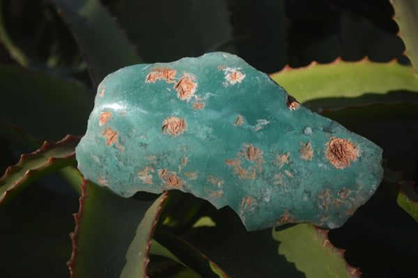 Polished On One Side Emerald Mtorolite Plates x 3 From Mutorashanga, Zimbabwe - Toprock Gemstones and Minerals 