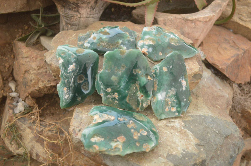 Polished On One Side Emerald Mtorolite Plates x 6 From Mutorashanga, Zimbabwe - Toprock Gemstones and Minerals 