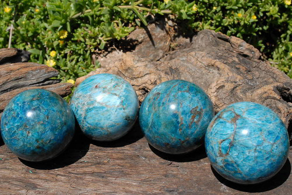 Polished Gemmy to Semi Gemmy Bright Blue Apatite Spheres x 4 From Madagascar - TopRock