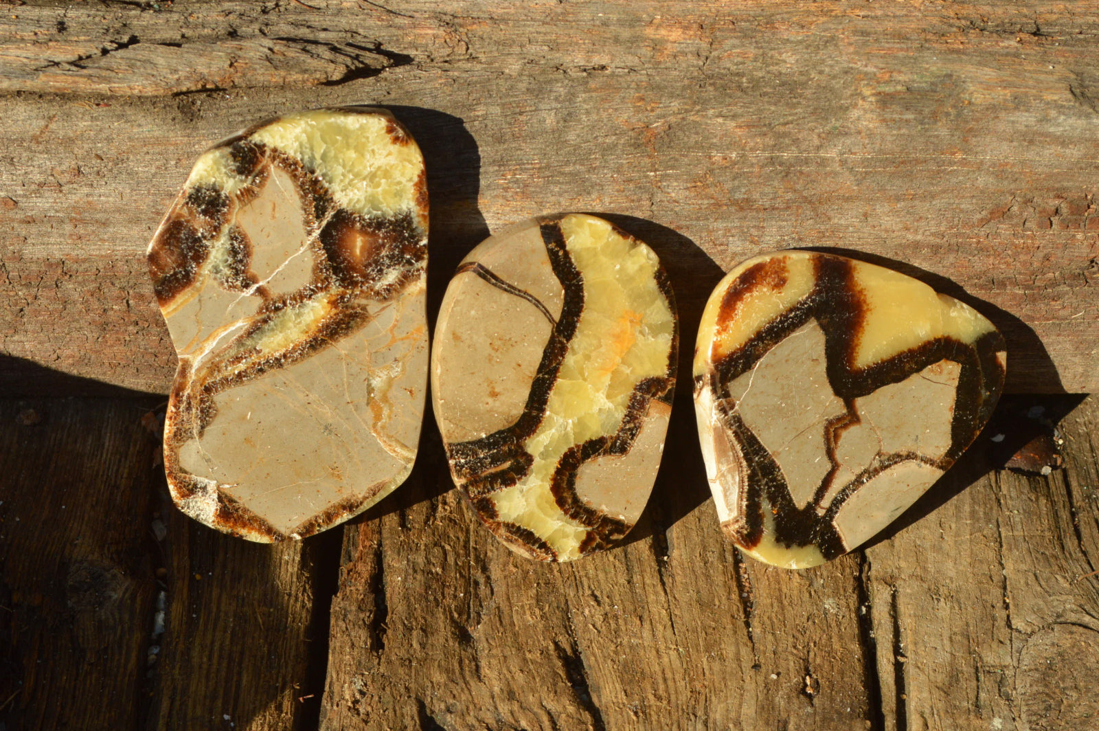 Polished Septerye (Aragonite & Calcite) Slices x 18 From Mahajanga, Madagascar - TopRock