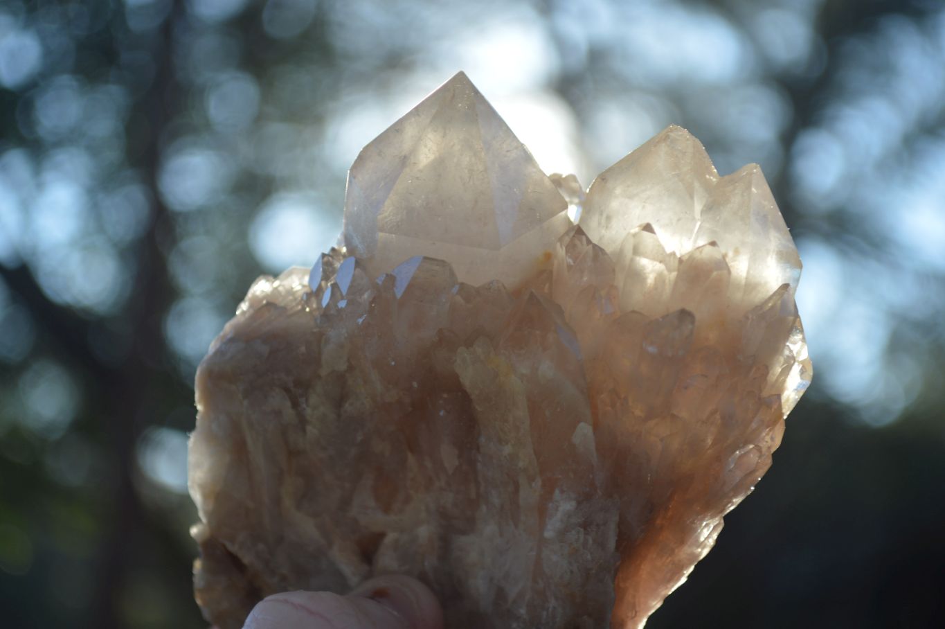 Natural Smokey Quartz Clusters x 3 From Luena, Congo - Toprock Gemstones and Minerals 