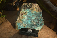 Natural Drusy Coated Chrysocolla Dolomite Specimens x 2 From Likasi, Congo - Toprock Gemstones and Minerals 