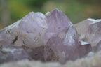 Natural Jacaranda Amethyst Cluster x 1 From Mumbwa, Zambia - TopRock
