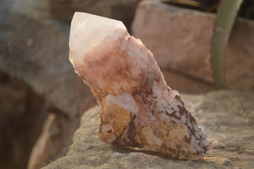 Natural Pink & Yellow Pineapple Candle Quartz Crystals x 6 From Madagascar - Toprock Gemstones and Minerals 