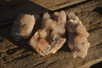 Natural Mixed Spirit Quartz Clusters x 12 From Boekenhouthoek, South Africa - Toprock Gemstones and Minerals 