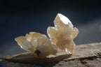 Natural Mini Golden Limonite / Lemonite Quartz Specimens  x 70 From Zambia - Toprock Gemstones and Minerals 