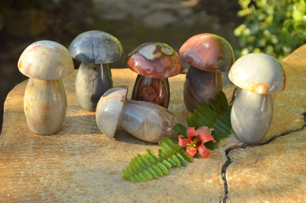 Polished Polychrome / Picasso Jasper Mushrooms x 6 From Mahajunga, Madagascar - TopRock