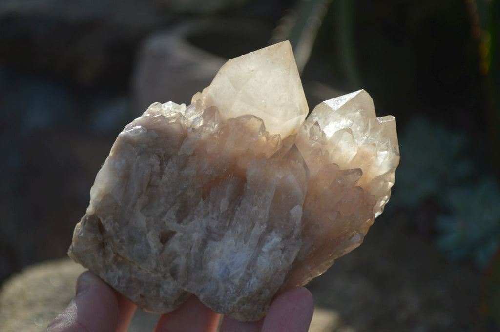 Natural Smokey Quartz Clusters x 3 From Luena, Congo - Toprock Gemstones and Minerals 