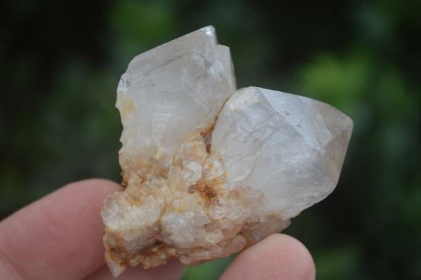 Natural Small Mixed Spirit Quartz Clusters  x 24 From Boekenhouthoek, South Africa