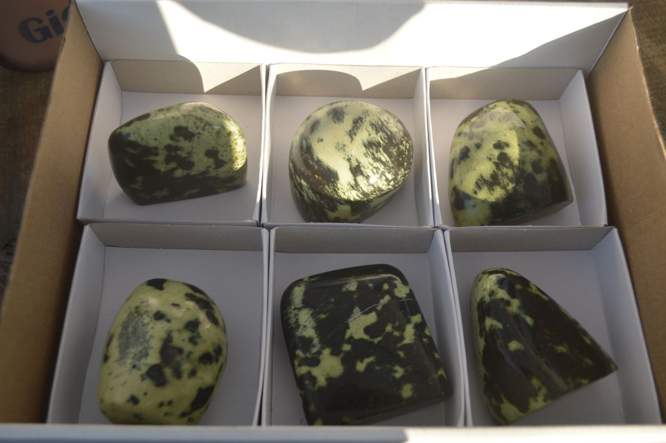 Polished Leopard Stone Free Forms  x 6 From Inyanga, Zimbabwe - Toprock Gemstones and Minerals 