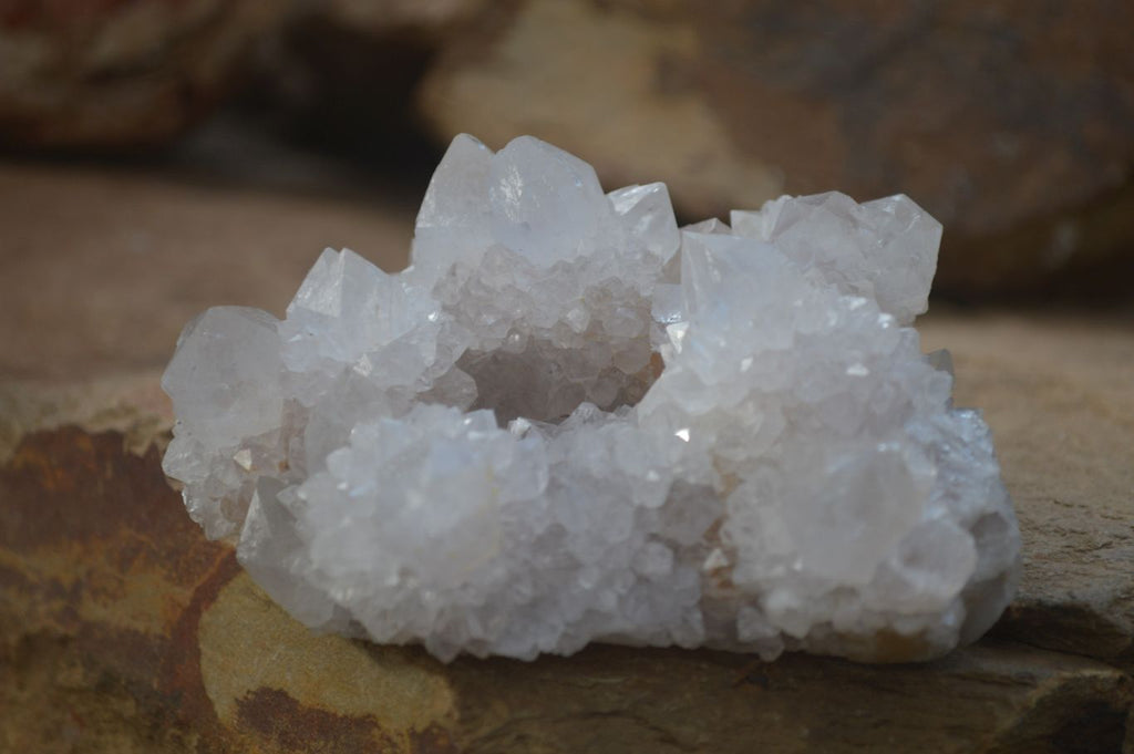 Natural White Cactus Flower Spirit Quartz Specimens x 6 From Boekenhouthoek, South Africa - Toprock Gemstones and Minerals 