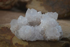 Natural White Cactus Flower Spirit Quartz Specimens x 6 From Boekenhouthoek, South Africa - Toprock Gemstones and Minerals 