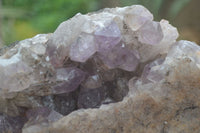 Natural Jacaranda Amethyst Cluster x 1 From Mumbwa, Zambia - TopRock
