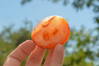 Polished Small Carnelian Palm Stones / Gallets - sold per kg - From Madagascar - TopRock