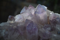 Natural Jacaranda Amethyst Clusters x 2 From Zambia - Toprock Gemstones and Minerals 