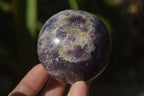 Polished Purple Lepidolite Spheres  x 6 From Zimbabwe - Toprock Gemstones and Minerals 