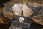 Natural White Cactus Flower Spirit Quartz Specimens x 12 From Boekenhouthoek, South Africa - Toprock Gemstones and Minerals 