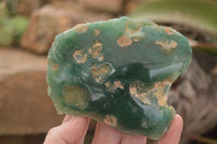 Polished On One Side Emerald Mtorolite Plates x 6 From Mutorashanga, Zimbabwe - Toprock Gemstones and Minerals 