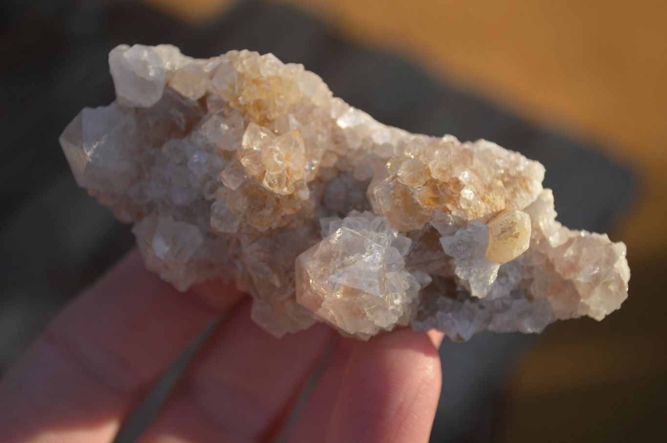 Natural Mixed Spirit Quartz Clusters x 12 From Boekenhouthoek, South Africa - Toprock Gemstones and Minerals 