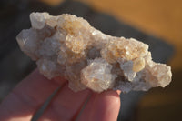Natural Mixed Spirit Quartz Clusters x 12 From Boekenhouthoek, South Africa - Toprock Gemstones and Minerals 