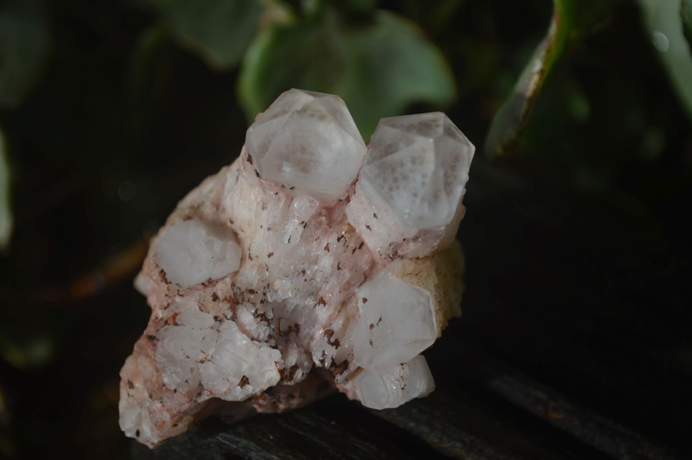 Natural Pink Candle Quartz Clusters  x 12 From Madagascar - Toprock Gemstones and Minerals 