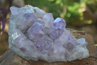 Natural Jacaranda Amethyst Clusters x 2 From Zambia - Toprock Gemstones and Minerals 