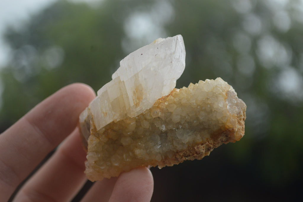 Natural Drusy Coated Mountain Quartz Specimens  x 18 From Alberts Mountain, Lesotho - TopRock